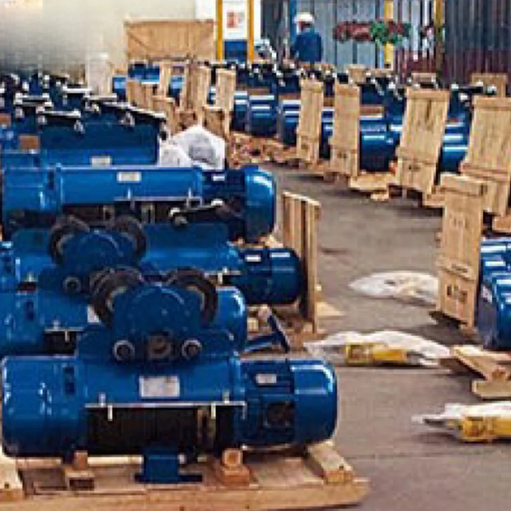 

Wire rope electric hoist two-speed take-off and landing can be added with remote control and high efficiency