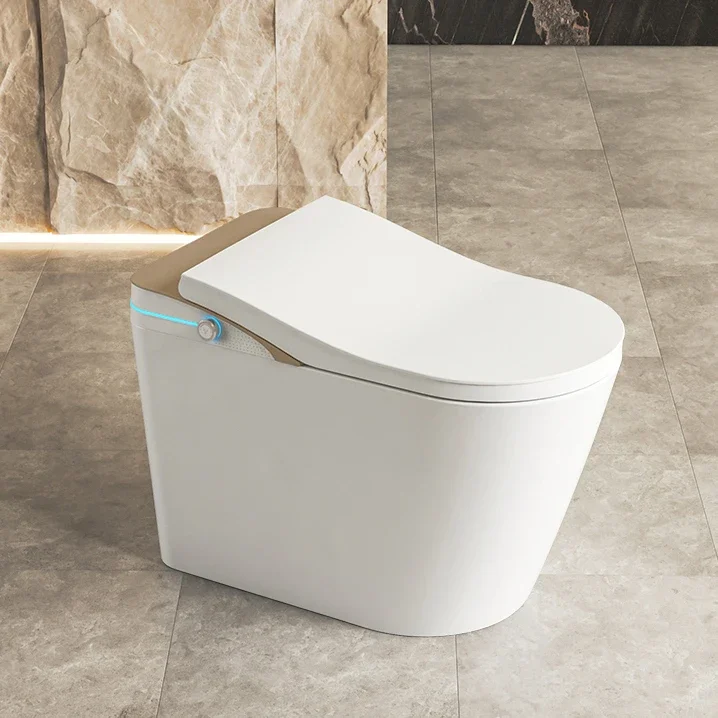 Smart Close Lid Elongated Dual Flush One-Piece Toilet