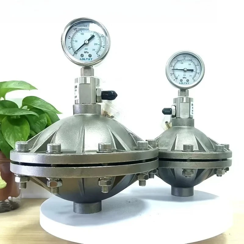 

304 Stainless Steel/PVDF Diaphragm Pulse Damper 316 Pulse Buffer DN15/20 Airbag Damper