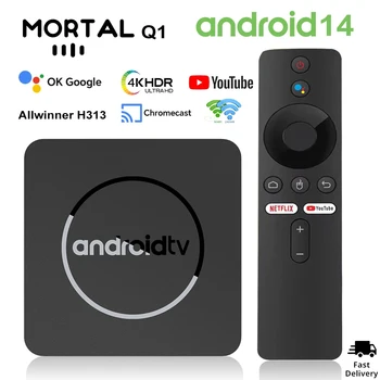 Smart Android TV Box Mortal Q1 AllwinnerH313 Google Voice Yuotube 4K HDR10 2.4G/5G WiFi BT5.0 16G Video Set Top Box Media Player