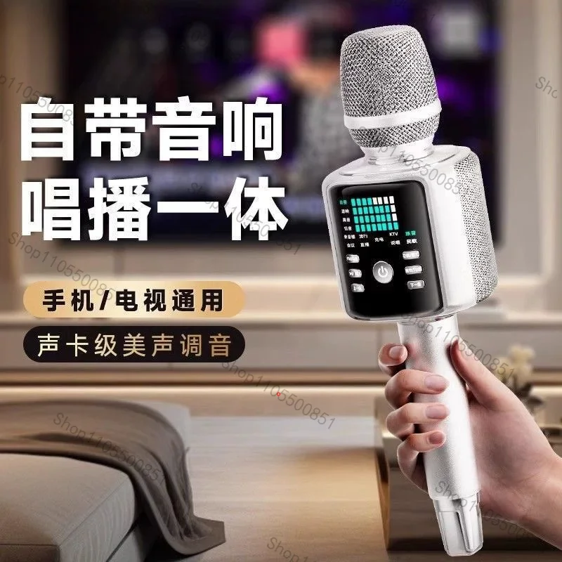Stereo Sound Card Microphone Combo – Wireless Singing & Live Stream Device