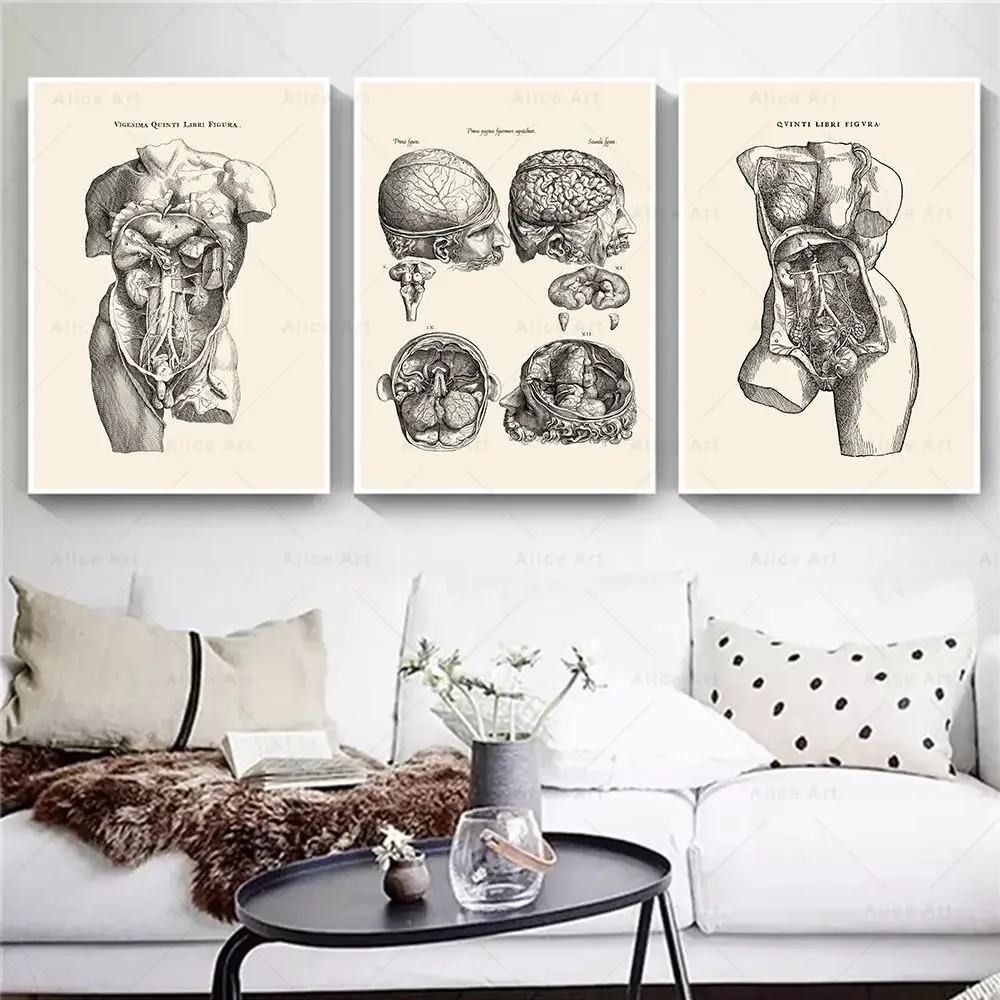 Frameless,Scandinavian Minimalist Wall Art Human Anatomy Skull Brain Heart HD Canvas Poster Print Home Bedroom Living Room Decor view 3
