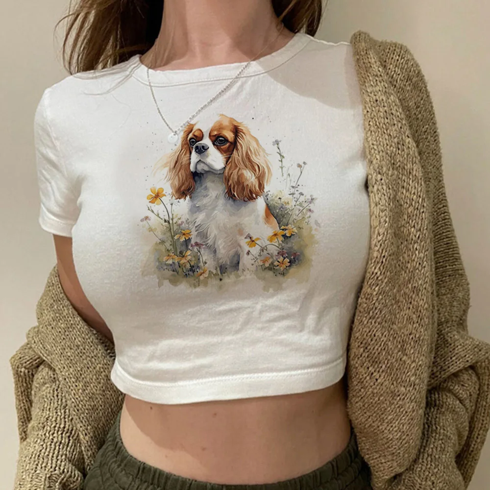 Cavalier King Charles Spaniel Dog streetwear  graphic  crop top Female trashy kawai vintage Kawaii clothes tshirt