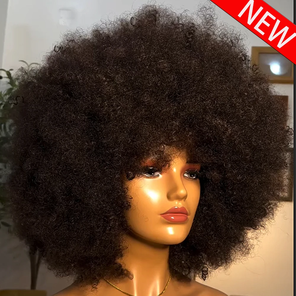 

Afro Kinky Curly 450 High Density Human Hair Wig 13x6 HD Transparent Lace Frontal Wigs Preplucked For Women Glueless Wig 16 Inch