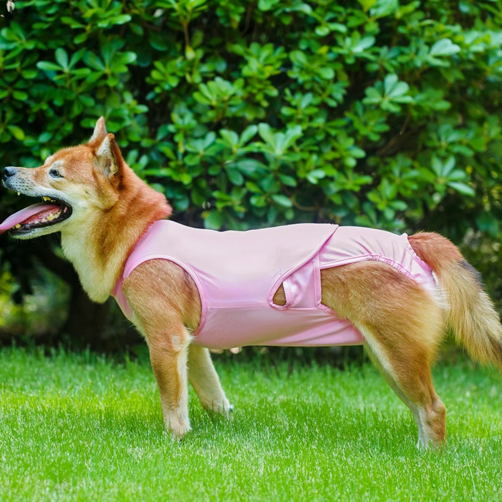 After Surgery Recovery Suit for Male Female Dogs Cats Comfortable Dog Onesie Anti-Licking Pet Surgical Recovery Snuggly Suit