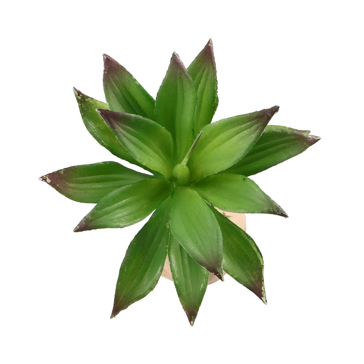 

Simulation Plant Terrarium Decor Artificial Reptile Tank Decorations for Pet Lifelike Gladiolus Leaf Home Aquarium