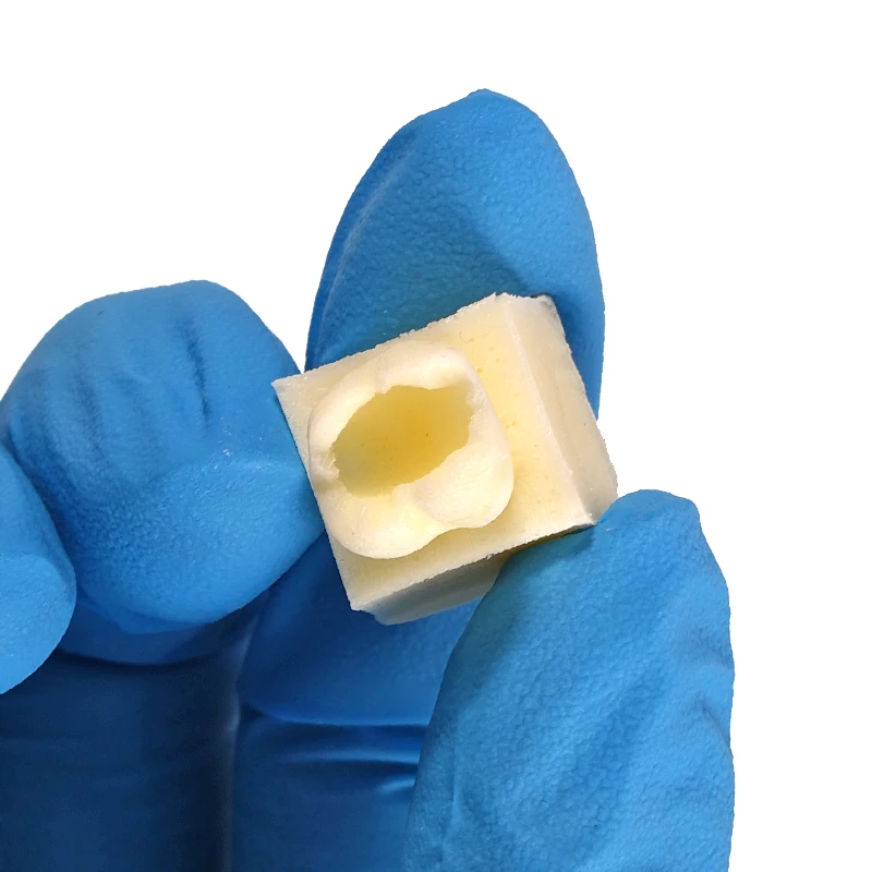 

Набор из 8 моделей для практики пломбирования зубов из полимерной смолы для обучения восстановлению полости задних зубов, подходит для студентов.