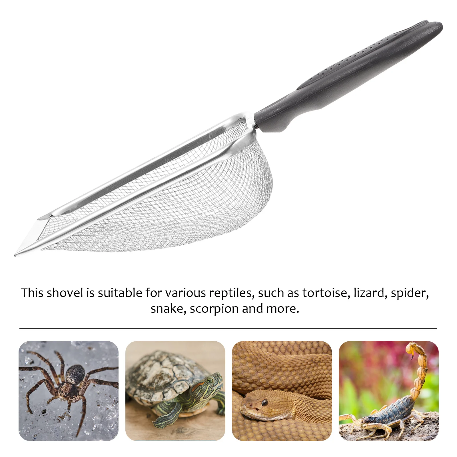 

1pc Stainless Steel Reptile Sand Shovel Sifter For Snake Spider Bearded Dragon Terrarium Cleaning Tool Sand Bedding Scoop
