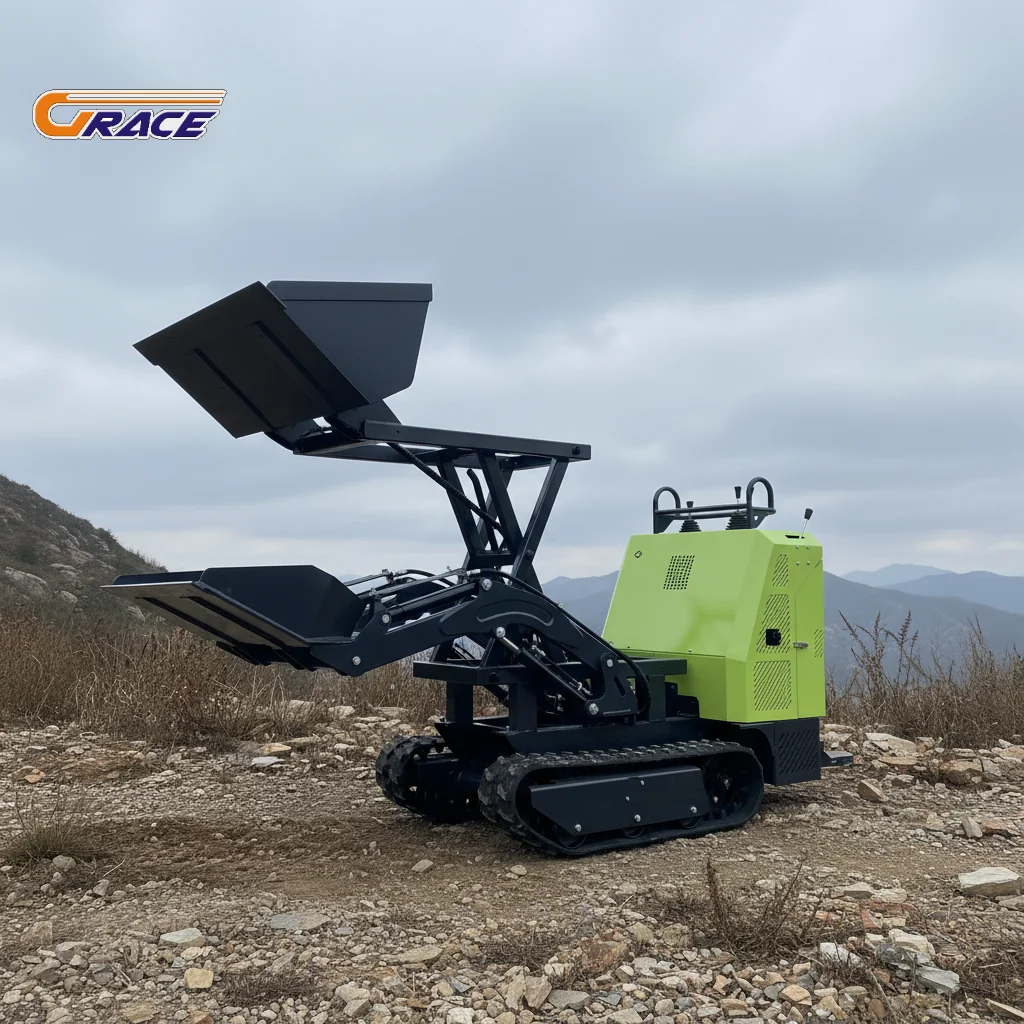 

500kg Heavy Duty Mini Crawler Dumper Truck EURO 5 EPA Construction Site Track Dumper Factory Custom