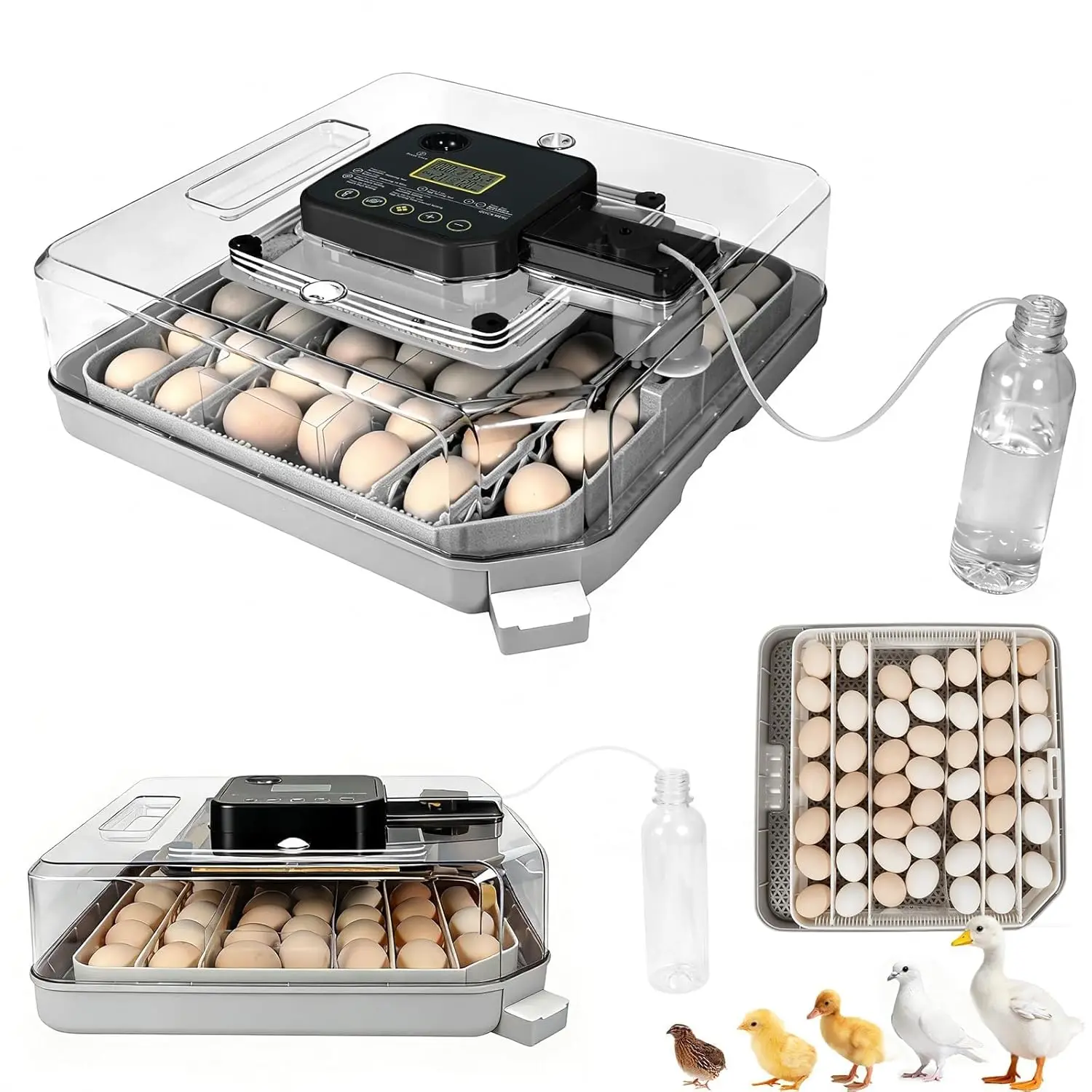 

48 Egg Fully Automatic Incubator with Humidity & Temp Control, Auto Turning, Chick Separator for Poultry
