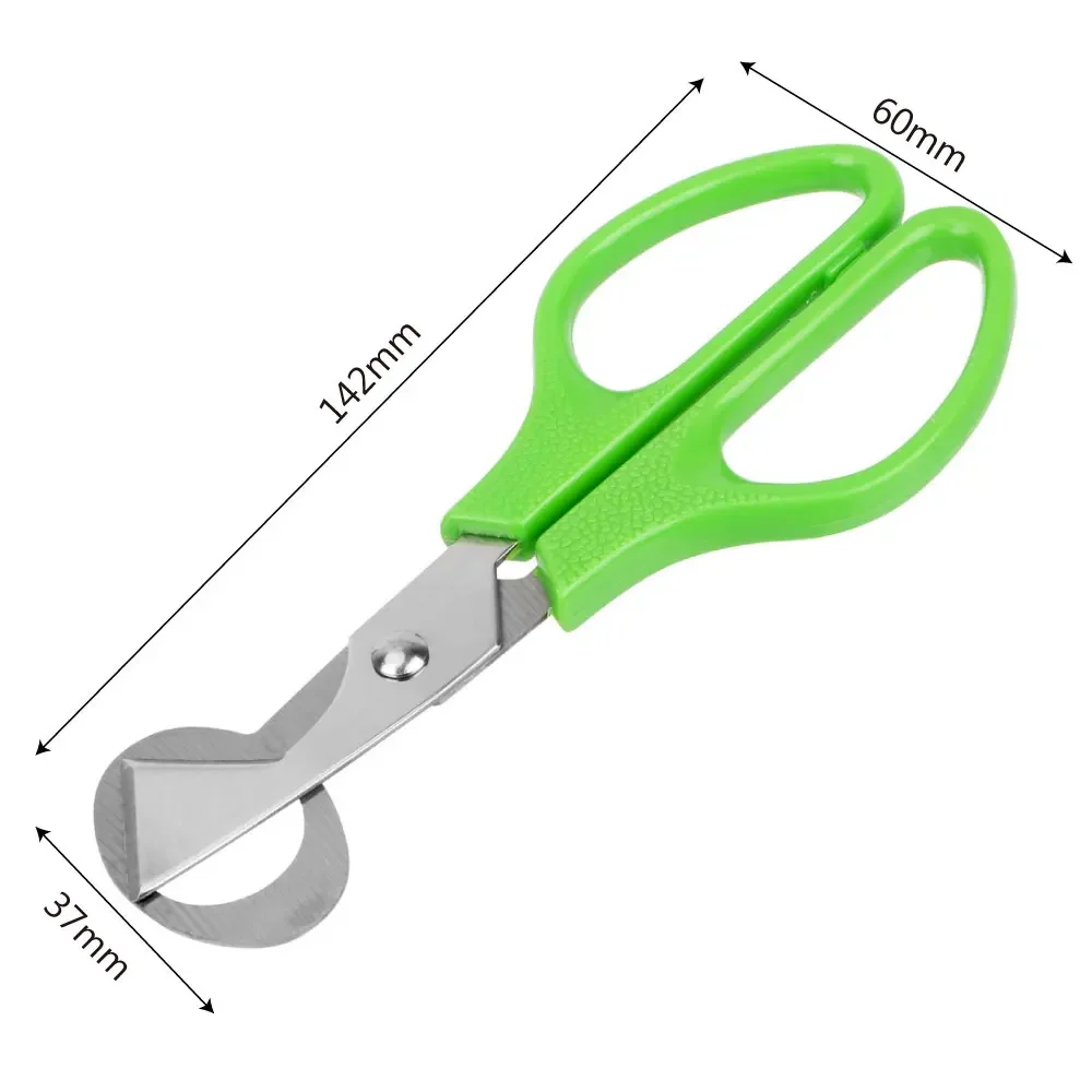 Nuevo abridor de tijeras para huevos de codorniz y Paloma, herramienta de cocina, corte de cáscara de huevo pequeña, separador de huevos de pájaro, accesorios de cocina portátiles