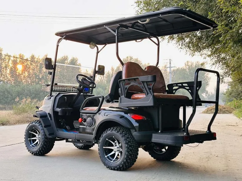 6 مقاعد بطارية ليثيوم عربة جولف الكبار سكوتر 48 فولت 60 فولت 72 فولت سيارة جولف كهربائية #3