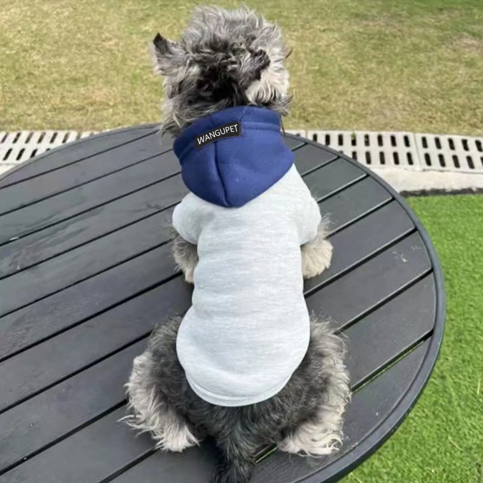 Mode Hund Hoodie Winter Warme Katze Hund Kleidung Weiche Sweatshirt Kleine Mittelgroße Hunde Mantel Kaltes Wetter Haustier Kleidung Chihuahua Mops – Detail 13