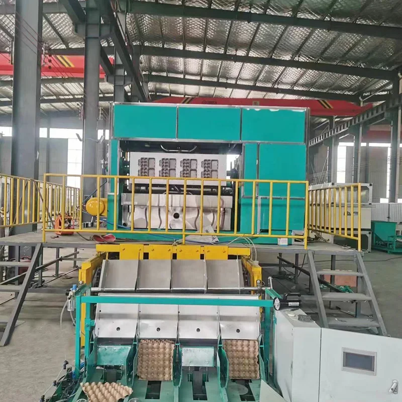 YG automatic paper egg tray making machine high output pulp mode egg tray machine