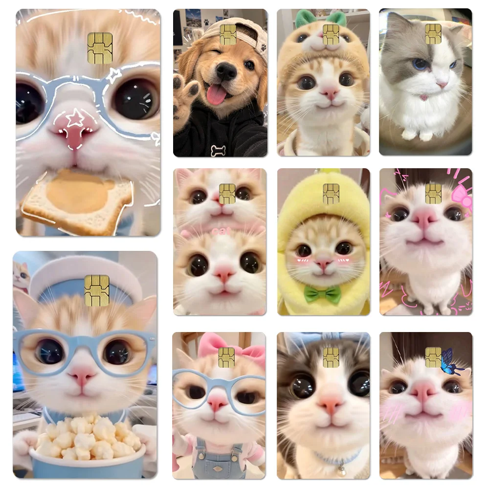 Sweet Cute Pet Debit Card Sticker Cat Dog Big Eyes Glasses Bread Chip Film Sticker Subway Bus Card Sticker PVC Film Skin Sticker