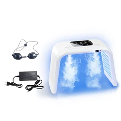 LED Double Steamer Water Replenishing Srpay Spectrometer PDT Large Row Lamp Photon Rejuvenation Black Spot Remover for Household