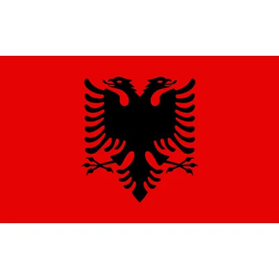 90x150 CM Albania Flag for Decoration