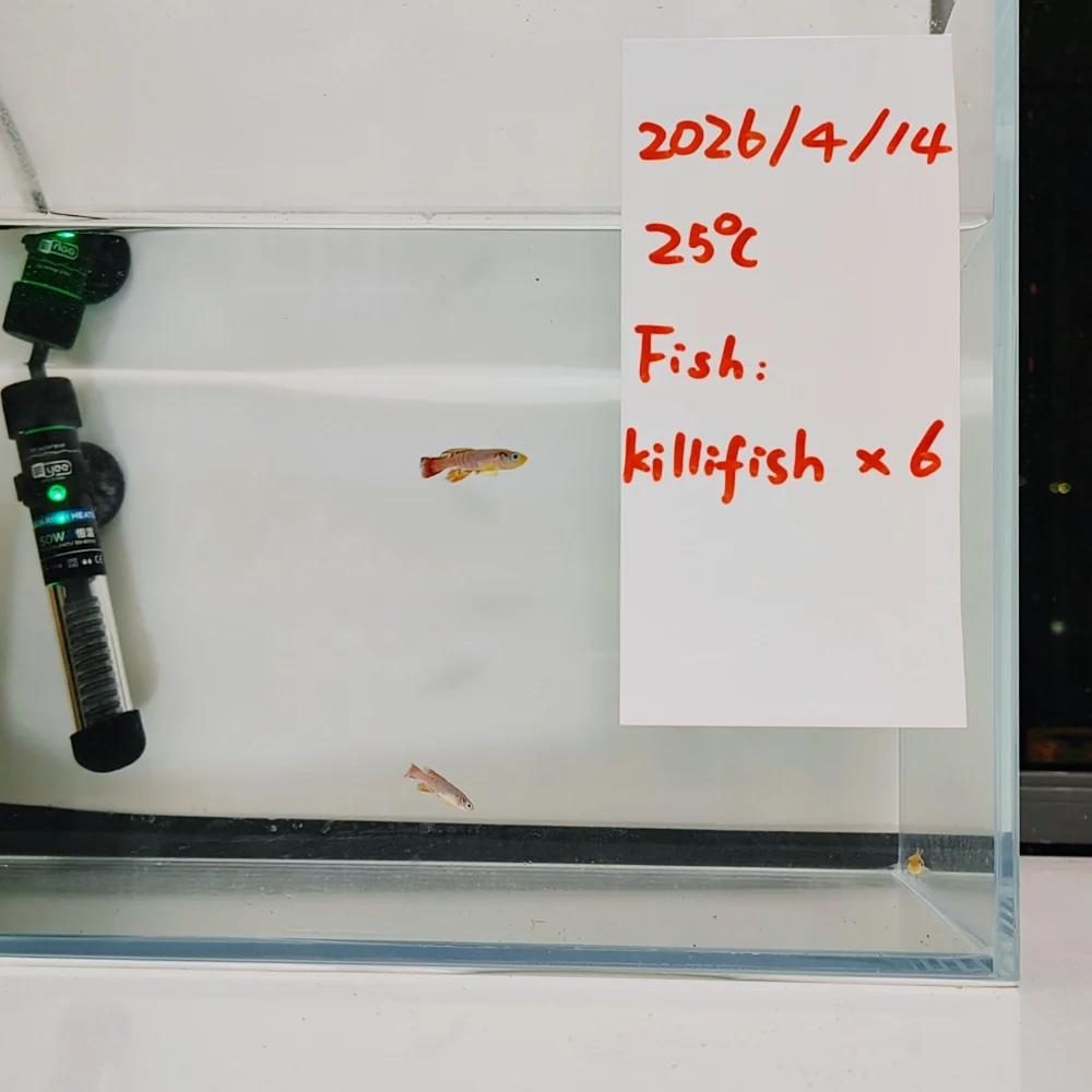 pelicula-adhesiva-para-pizarra-blanca-kiliifish-para-horarios-de-alimentacion-puerta-de-habitacion-de-mascotas-recordatorio-de-vacunacion-cuidado-de-huevos-de-peces-3-a5