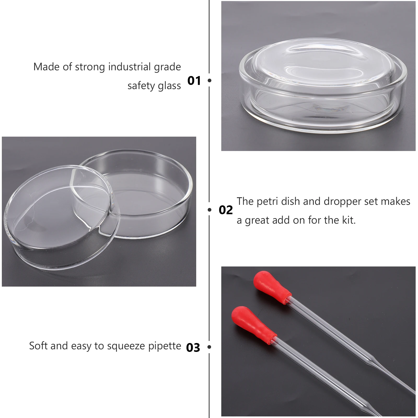 

6Pcs Petri Dish Sterile Glass Culture Dishes 60mm Lids Transfer Pipettes Lab Experiment Equipment Set Petri Dish