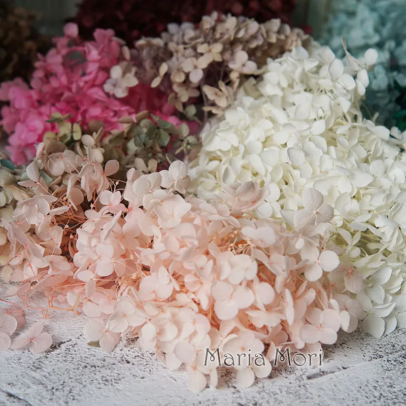 yZ[zAiAWTC̉ԏȗtvU[uhAWTCz[ItBX DIY ޗG|LV