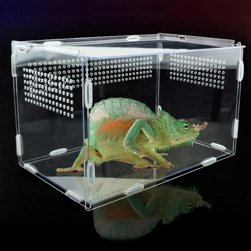 Reptile Breeding Box Acrylic Transparent Spider Breathable Terrarium Ornamental Box for Lizard Scorpion Insect