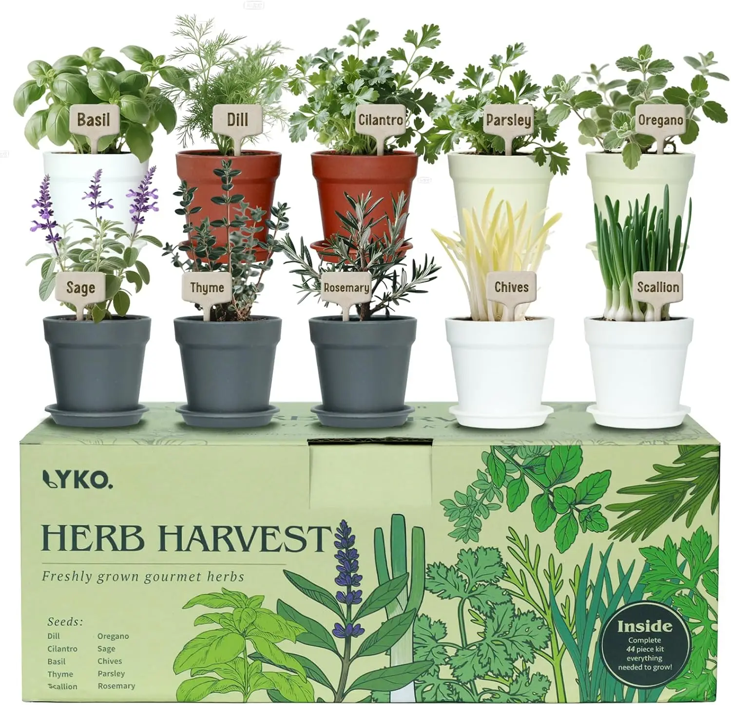 10 Indoor Herb Gard…