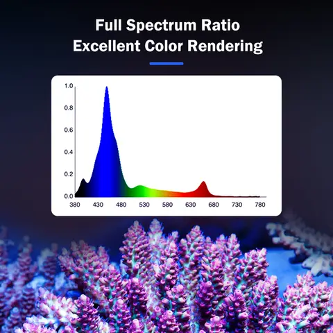 10 best sales revet led - №8