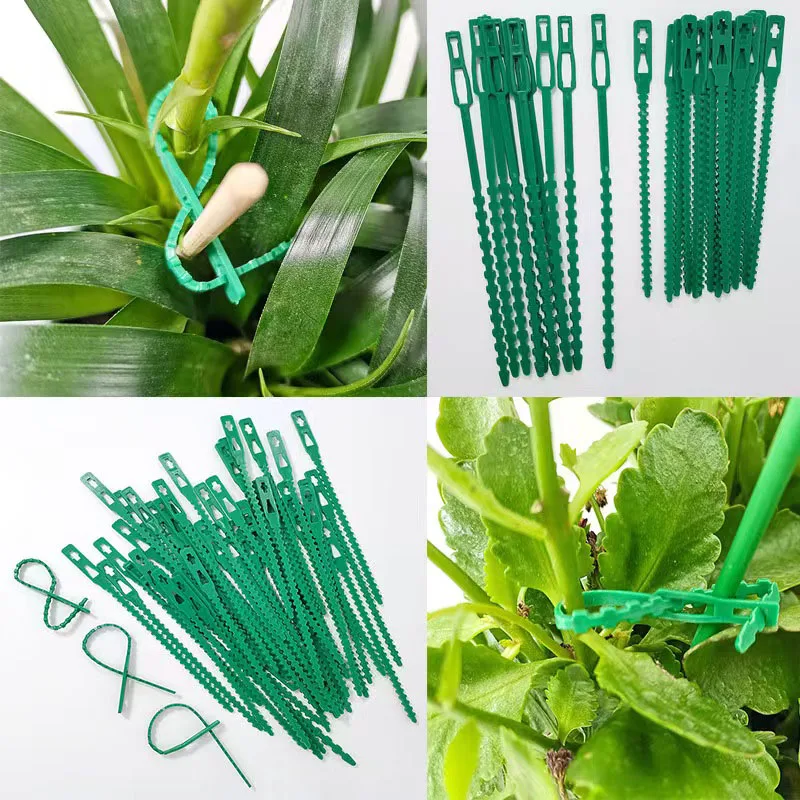 20/50/100Pcs Adjustable Reusable Plastic Plant Support Clips Clamps For Garden Tree Climbing Support Vine Tomato Stem Ties Tools