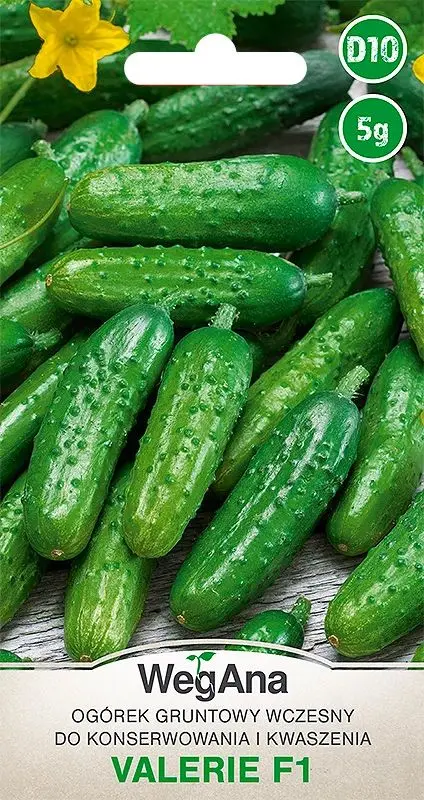 Valerie gemahlener Gurkenkern 3 G WEGANA-Gemüsesamen zum Anbau im Garten und im Gewächshaus