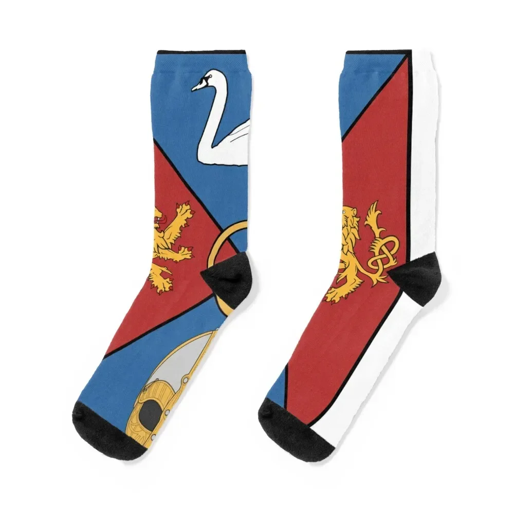 Coat of Arms of County Westmeath, Ireland Socks christmas stocking Stockings Novelties Luxury Woman Socks Men's