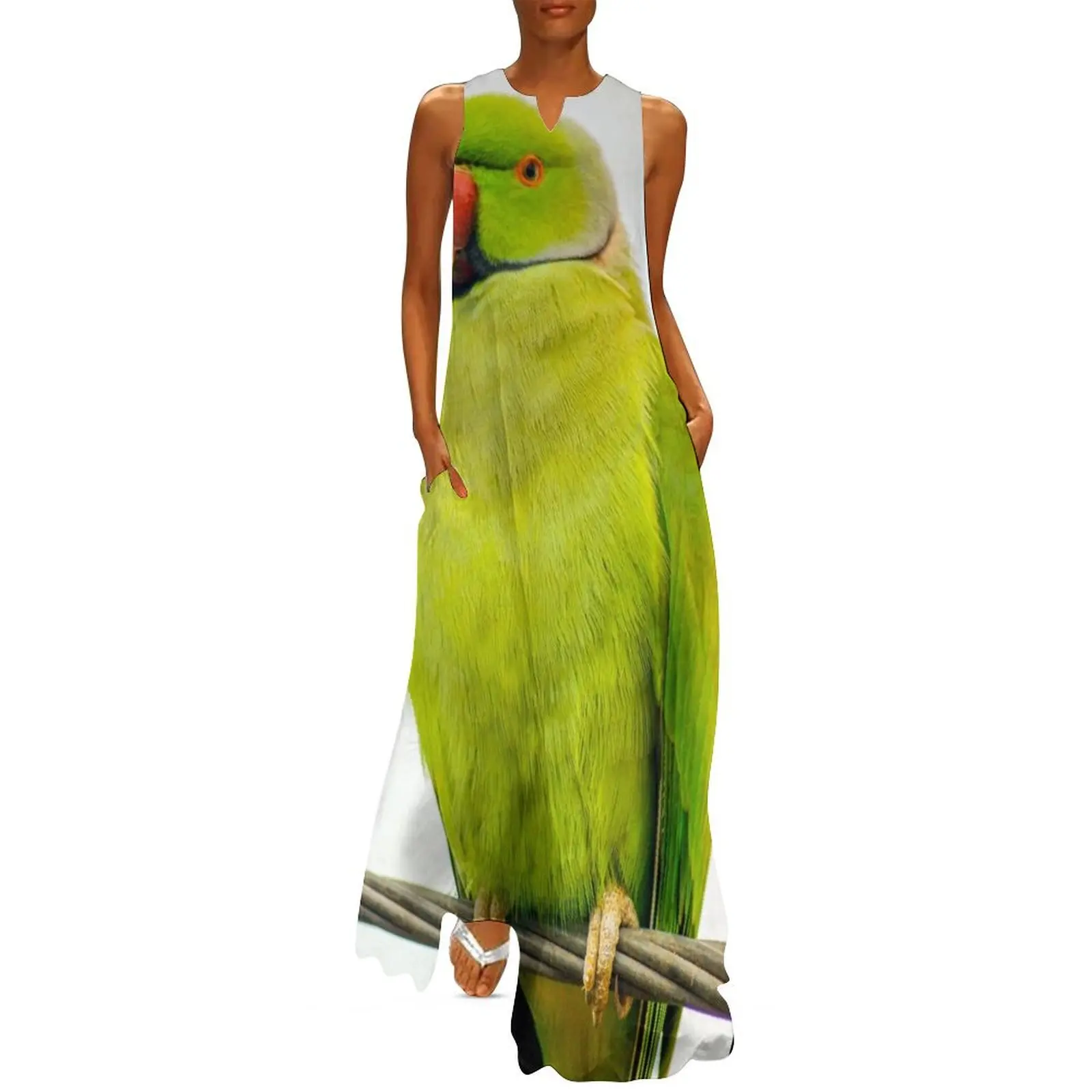 

Rose-Ringed Parakeet (Ring-Necked Parakeet) Long Dress dress women summer 2025 dresses women summer 2025 Dresses gala Dress