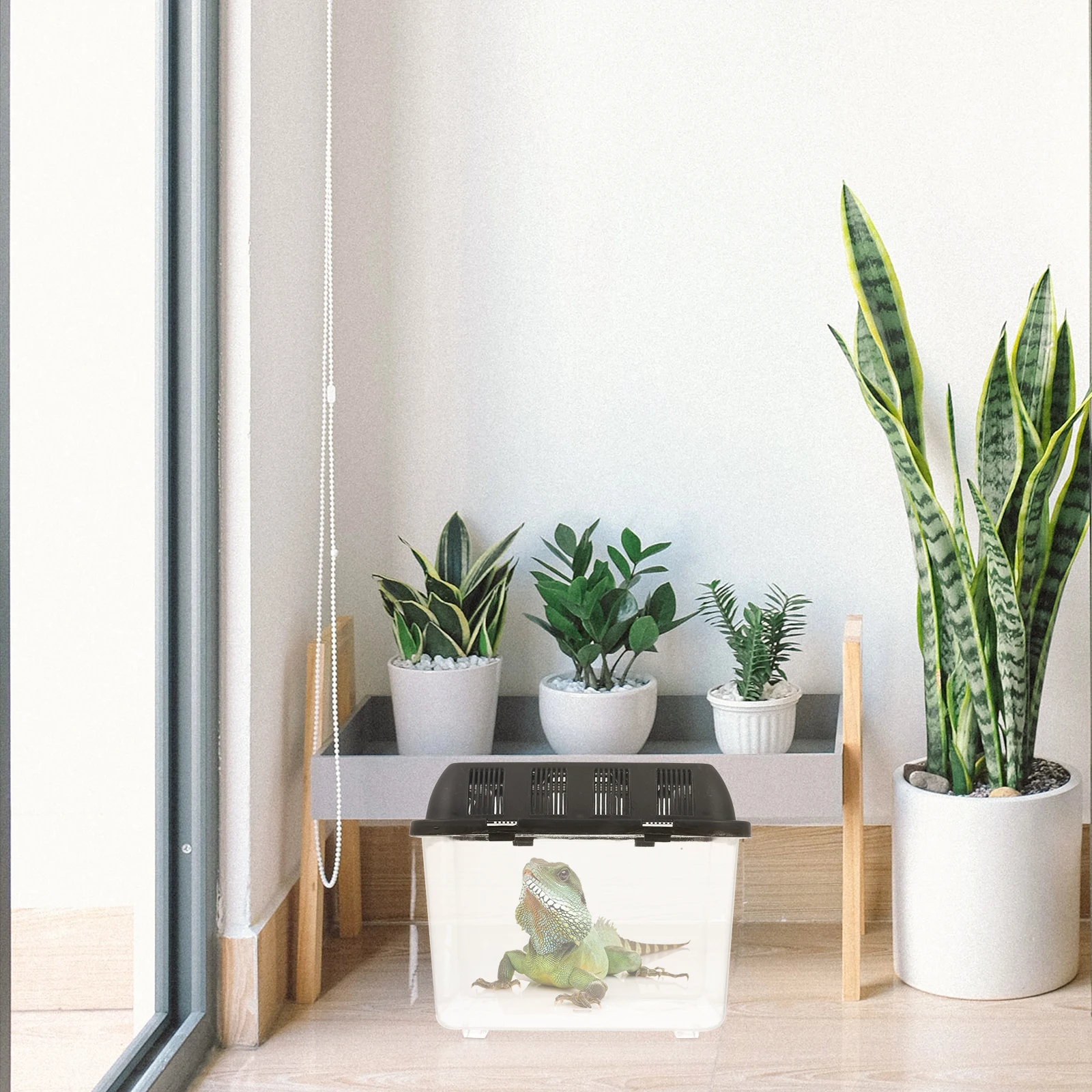 

Portable Reptile Breeding Box Small Enclosure Terrarium Spider Snake Container Durable Transparent Feeding Box Storage Case Pet