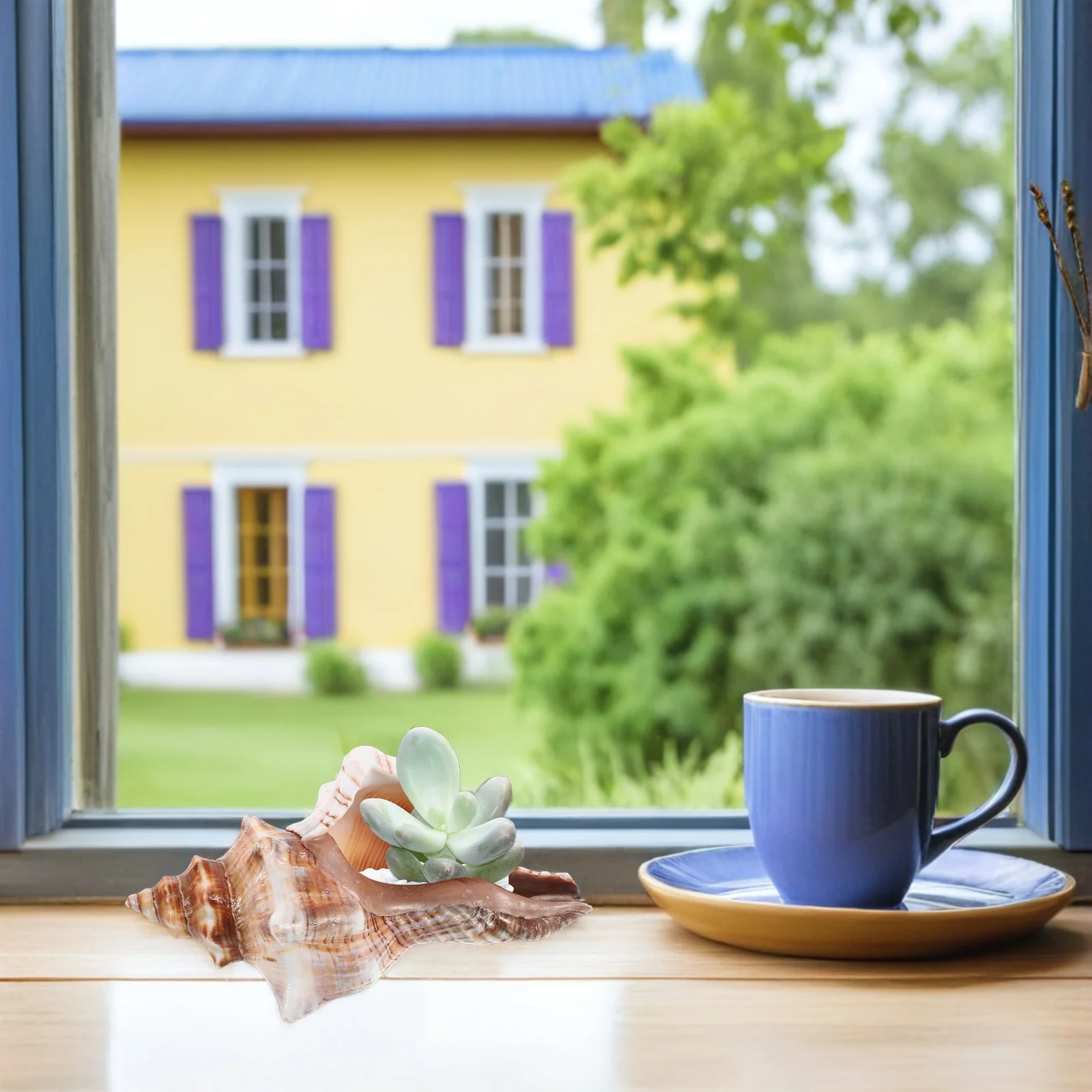 

Natural Conch Planter Seashell Succulent Pot Coastal Desktop Bonsai Flower Pot Ocean Themed Cactus Garden Home Office Decor