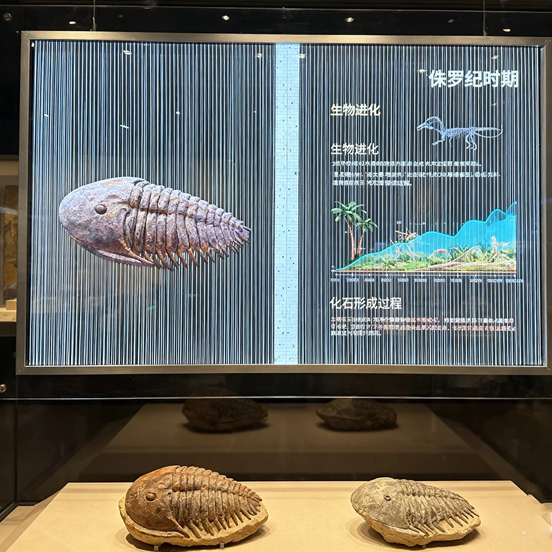 

Led Ice Mesh Screen Magic Invisible Transparent LED Screen Display For Museum Showcase Artifact Exhibition Jewelry Store Counter