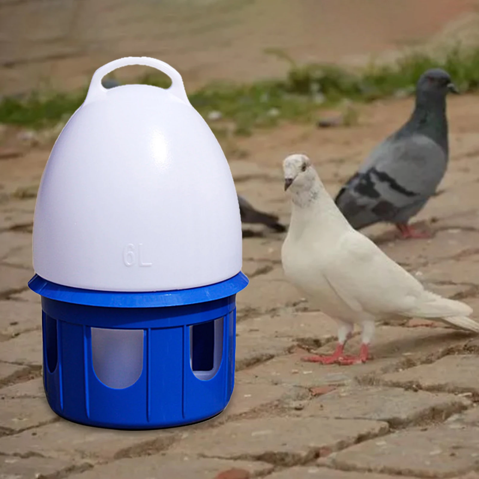 Large Capacity Automatic Bird Water Dispenser Drinker Water Bottle Cage Accessories Water Feeding Pigeon Waterer for Dove Duck