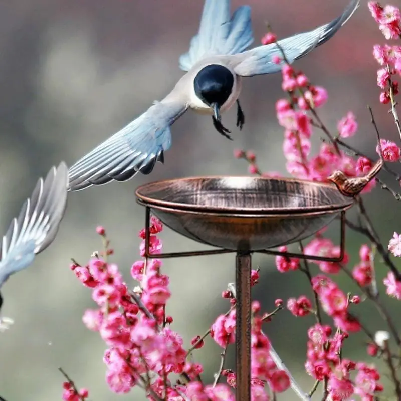 Iron Bird Bath for Backyard Decors Provide Clean Water Source for Birds 