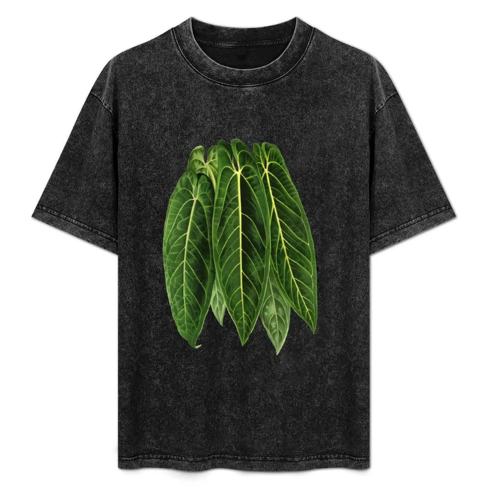 

Anthurium warocqueanum - Queen Anthurium T-Shirt t shirts with prints t shirt man casual T-Shirt