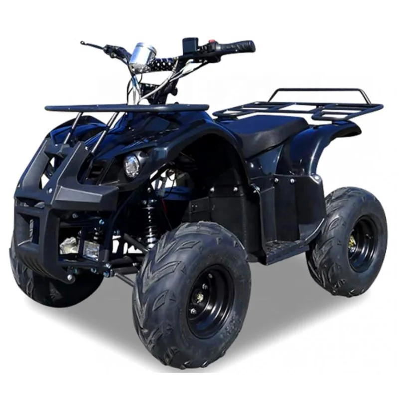 Quad Bike ATV 48V 750W Electric Automatic Transmission 2WD 50-75km/h