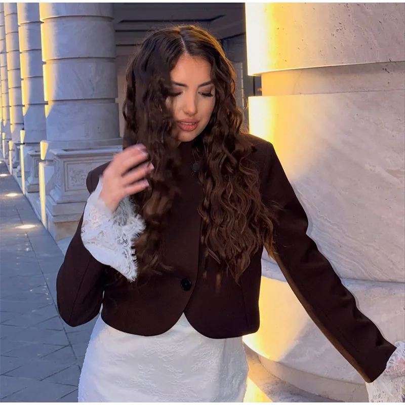 Damenmäntel Satin Stehkragen Seitliche Knopfleiste Kurze Anzugjacke Herbst Damen Langarm Knopfleiste Einfarbige Lockere Jacke Neue Oberbekleidung – Detail 8