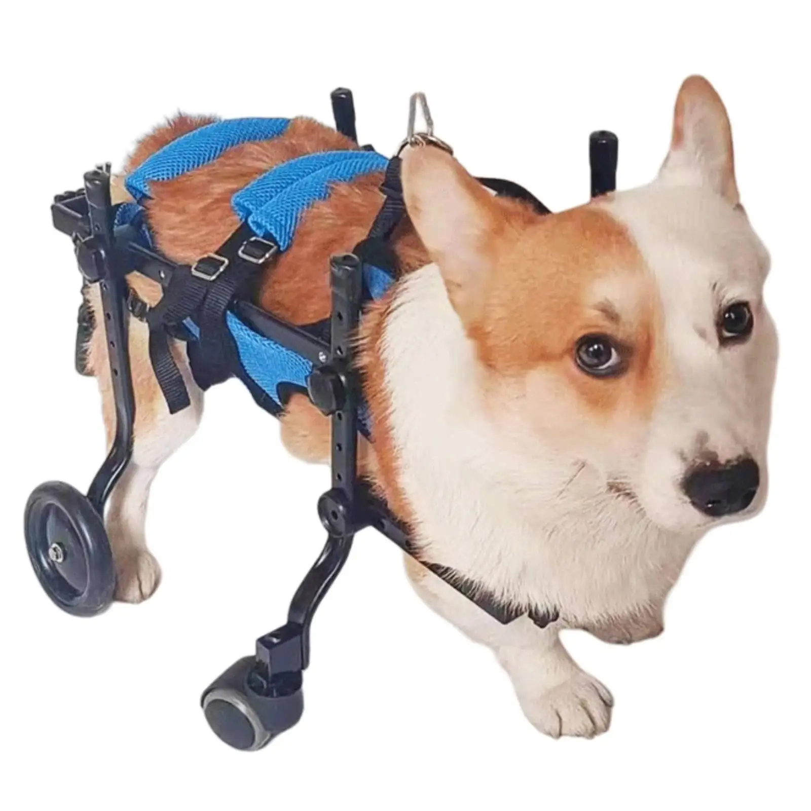 Support Mobility Cart for Dogs Adjustable Metal Walking Trolley Pet Aid for Post Surgery Recovery