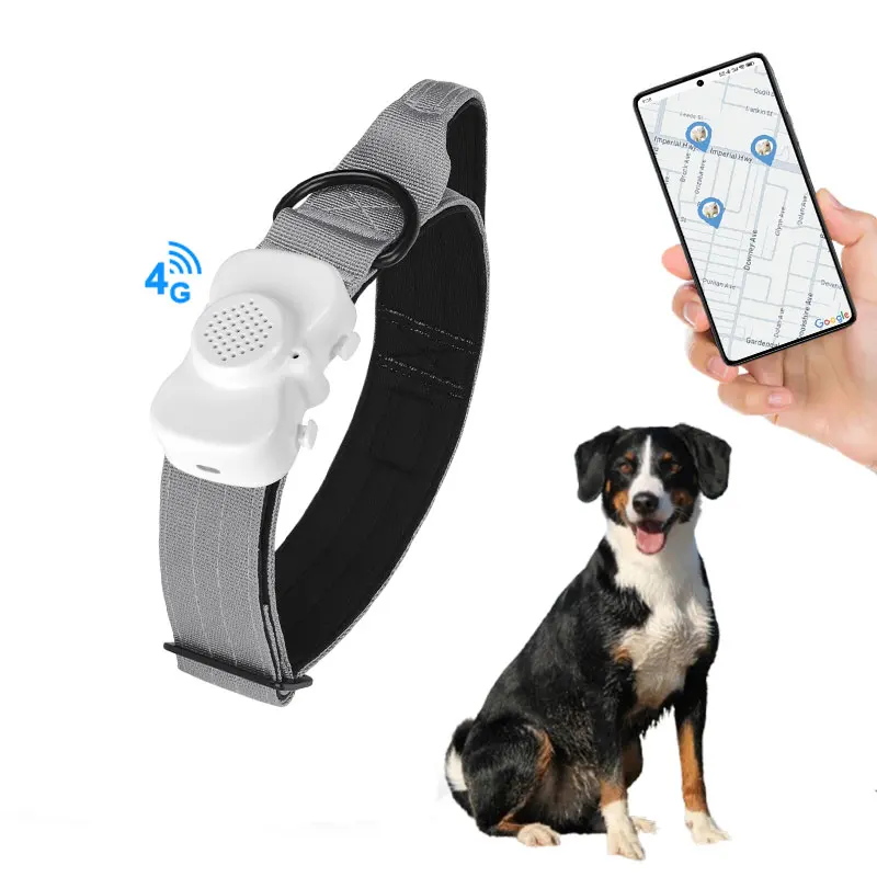 2025 New Oem Cat Dog Animal Mini Tracker Sleep Motion Tracking Device Health  Wifi Bluetooth Gps Collar For Pet Outdoor