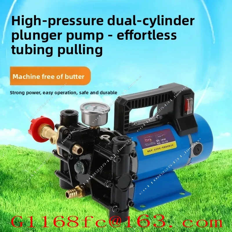 12V/24V/220V Double Cylinder Plunger Pump Agricultural High-pressure Irrigation Sprinkler Car Washing Quantitative Spray Pump