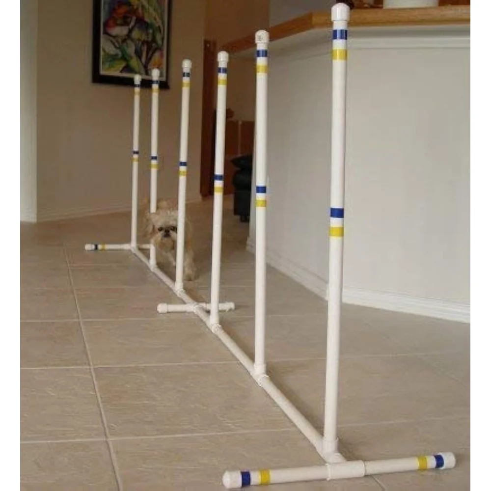 Dog Agility Set of 6 Indoor/Outdoo
