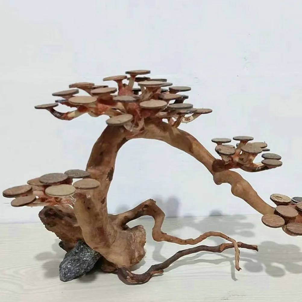 50 قطعة خزان حوض السمك المواد الخام أقراص قشرة جوز الهند نموذج لوازم نماذج رقاقة جوز الهند المستديرة