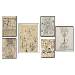 Neuron prints by Ramon Santiago, antique brain anatomy art, vintage anatomy illustration, neuroscience art, bioart, human art