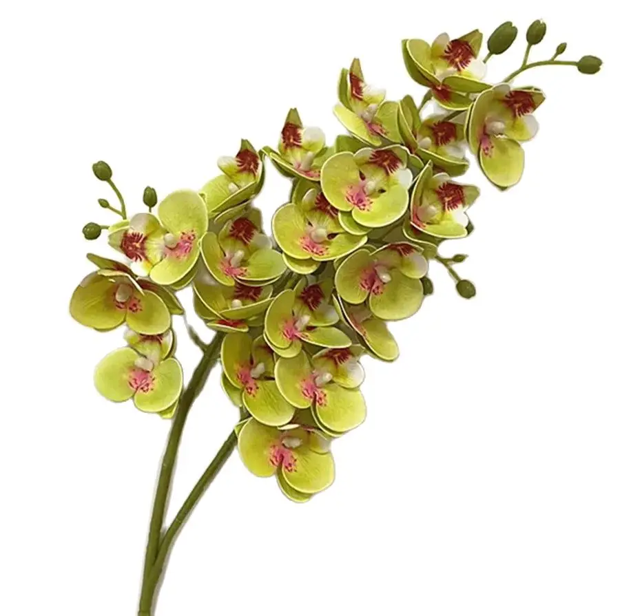 Latex Butterfly Orchid Flowers, 21 Heads, Real Touch Artificial Mini Phalaenopsis Orchid, Good Quality