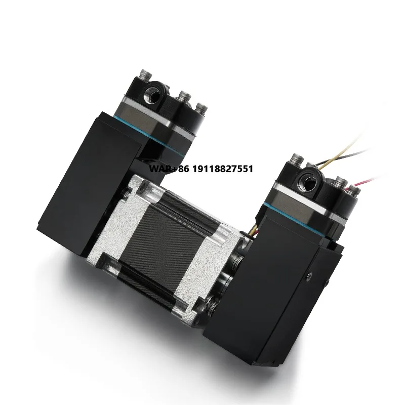 

Double Heads 24v Electric Dc 8bar air Pumps PWM Speed Adjustable Gas Pump Brushless Compressor Small Swing Piston Vacuum Pump