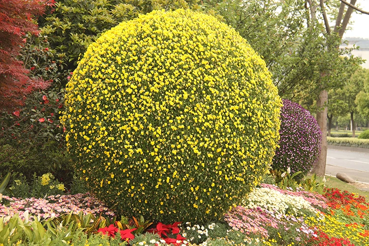 Large spherical flower pot Garden supplies Large spherical plastic flower pot
