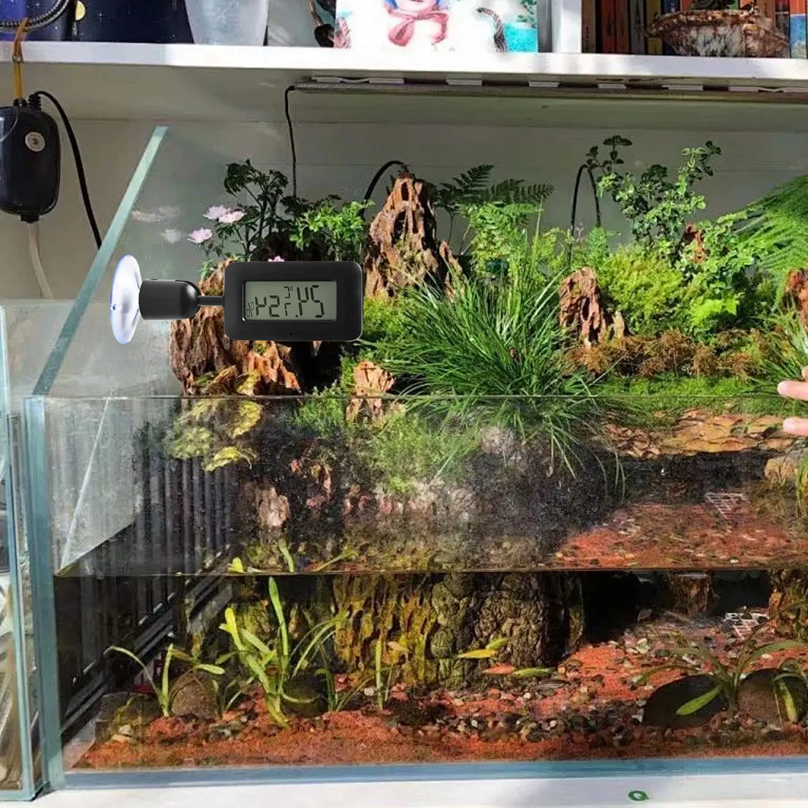 Mini Digital Reptile Thermometer Rotating Hygrometer With Luminous Suction Cup High-selling Tool Accessories