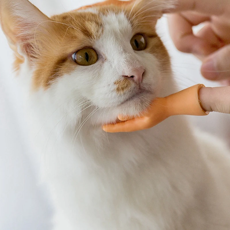 Mini mains amusantes pour taquiner le chat, jouet Fidget pour animaux de compagnie, petit doigt créatif, 8 pièces